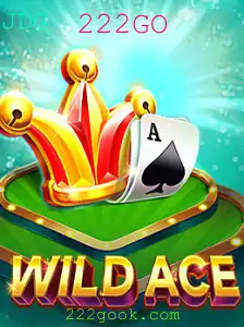 Descubra o Incrível Jogo de Cartas WildAce